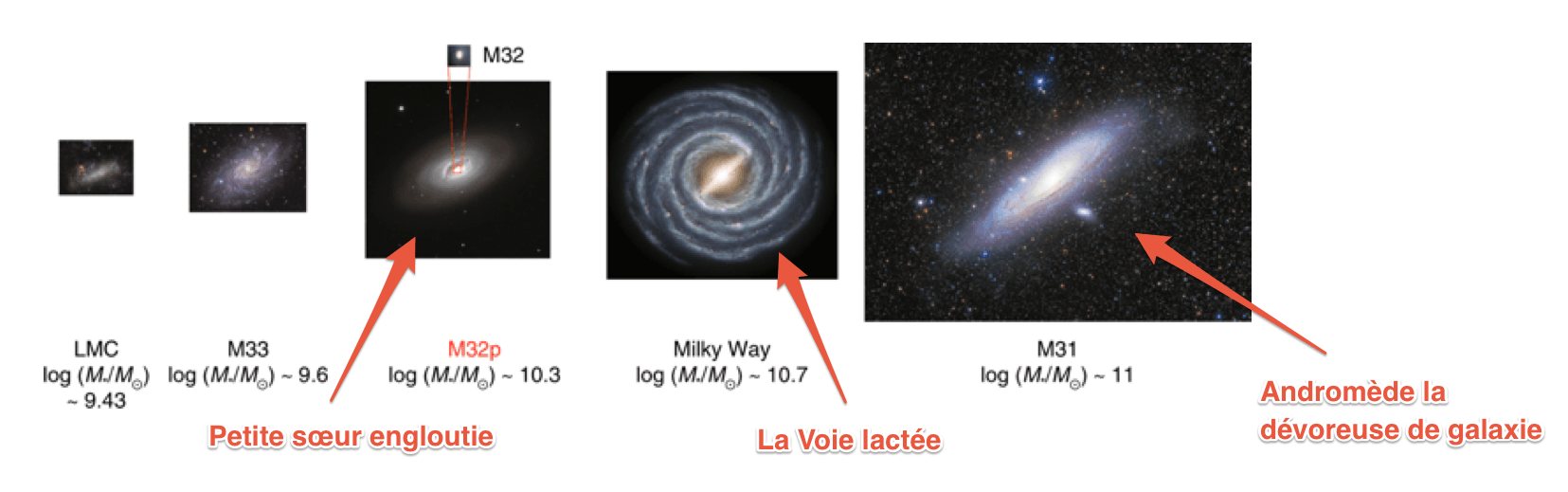 La Galaxie Dandromède A Dévoré La Petite Sœur De La Voie