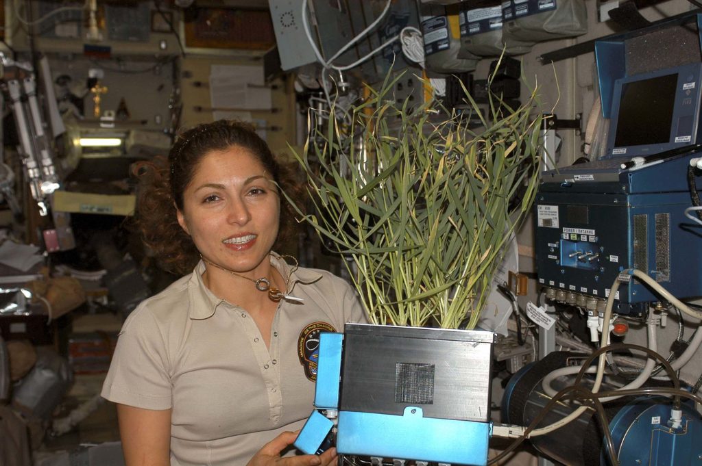   Anousheh Ansari 