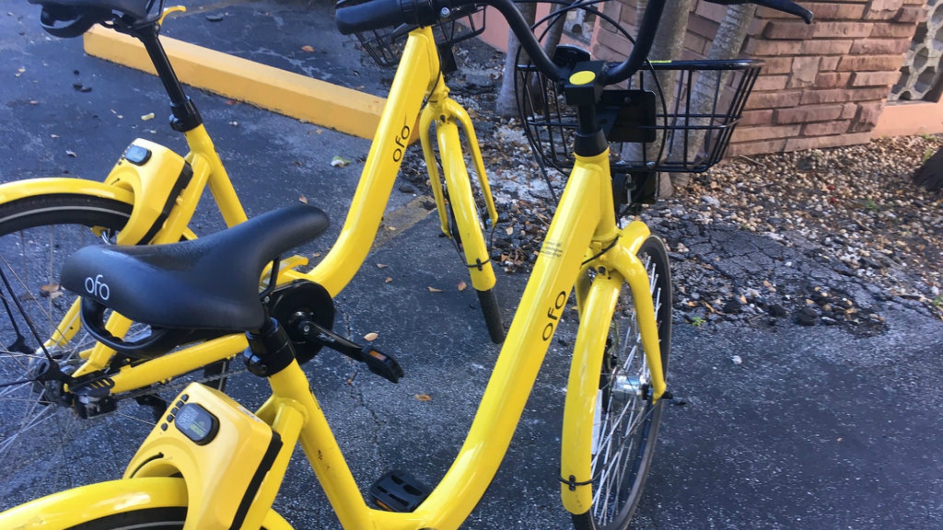 ofo velo