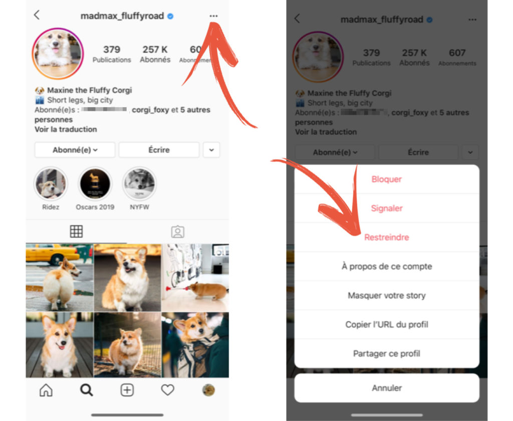 Comment Bloquer Ou Masquer Quelqu Un Sur Instagram Tech Numerama