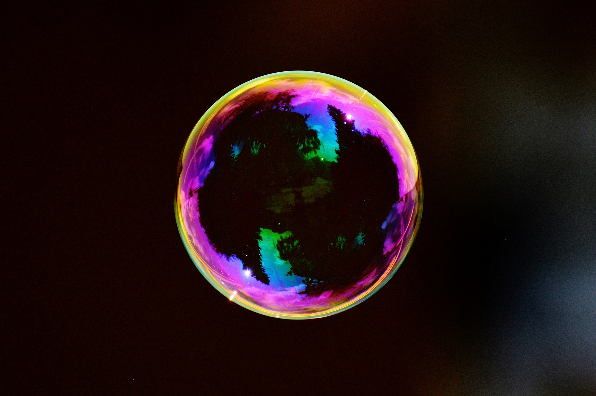 Qu'est-ce qu'une « bulle de filtre » et comment pouvez-vous en sortir ?