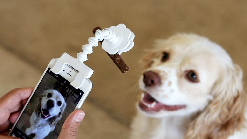 Flexy Paw Le Stick A Selfie Qui Permet De S Immortaliser Avec Son Animal De Compagnie