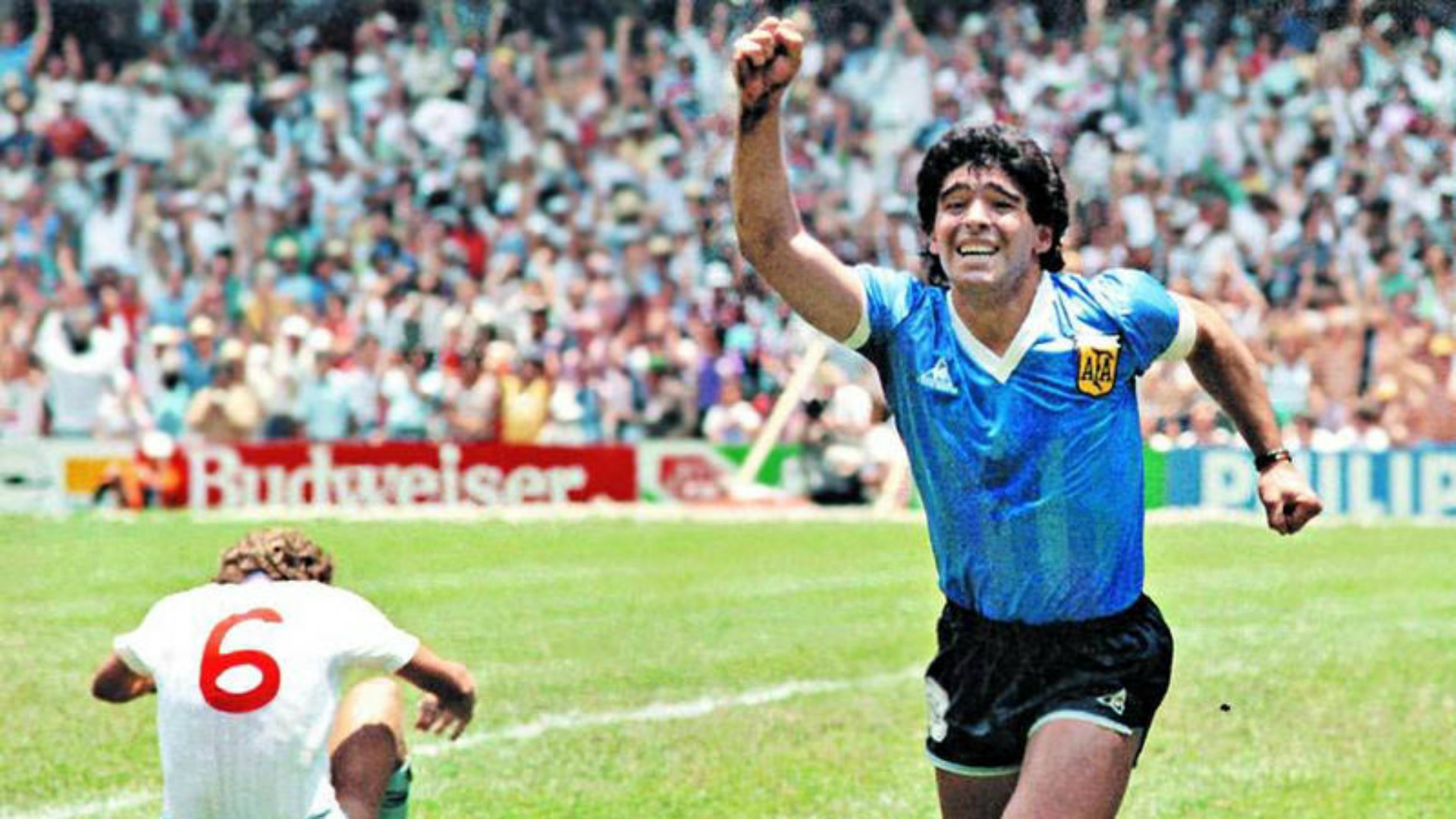 Une série sur Prime Video retrace la vie controversée de Diego Maradona -  L'Équipe