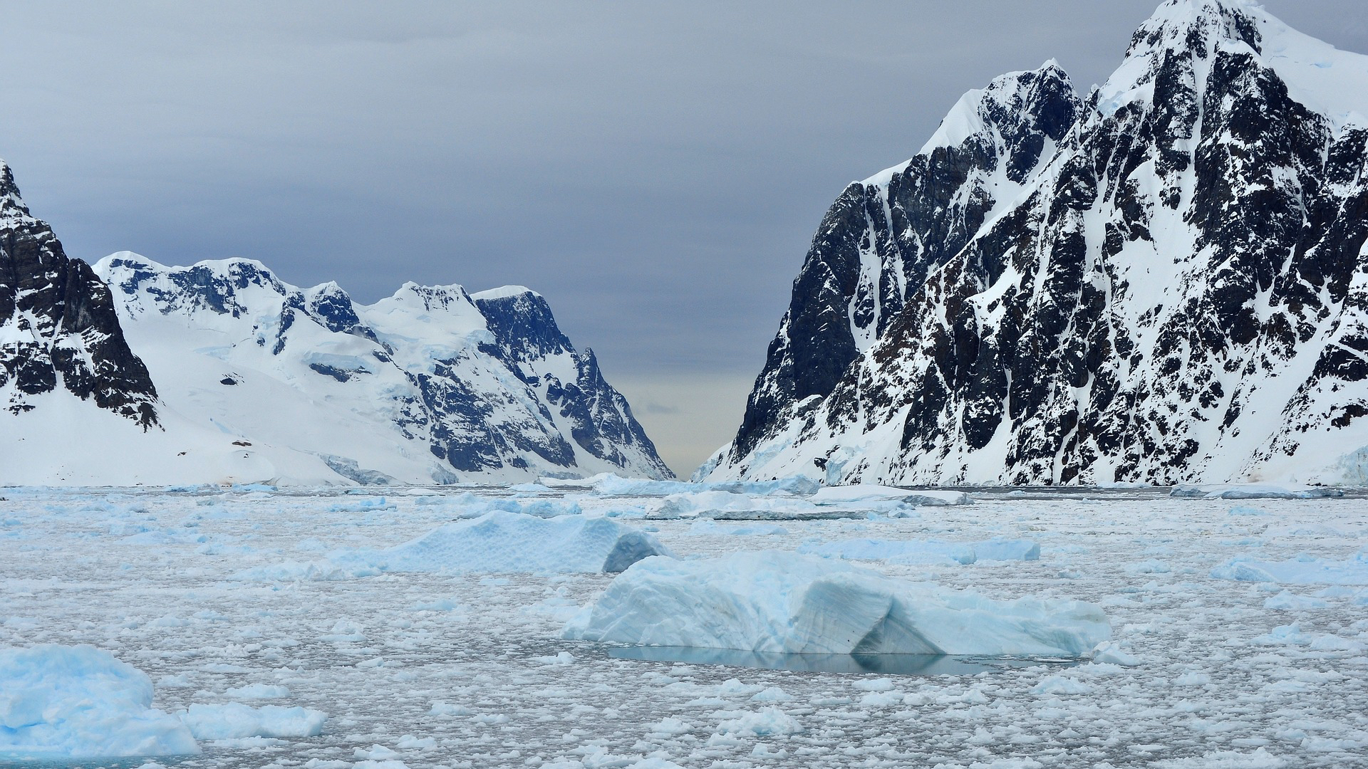 Ce Bruit Sinistre Sous La Banquise De L Antarctique Permet De Comprendre Son Passe Trouble