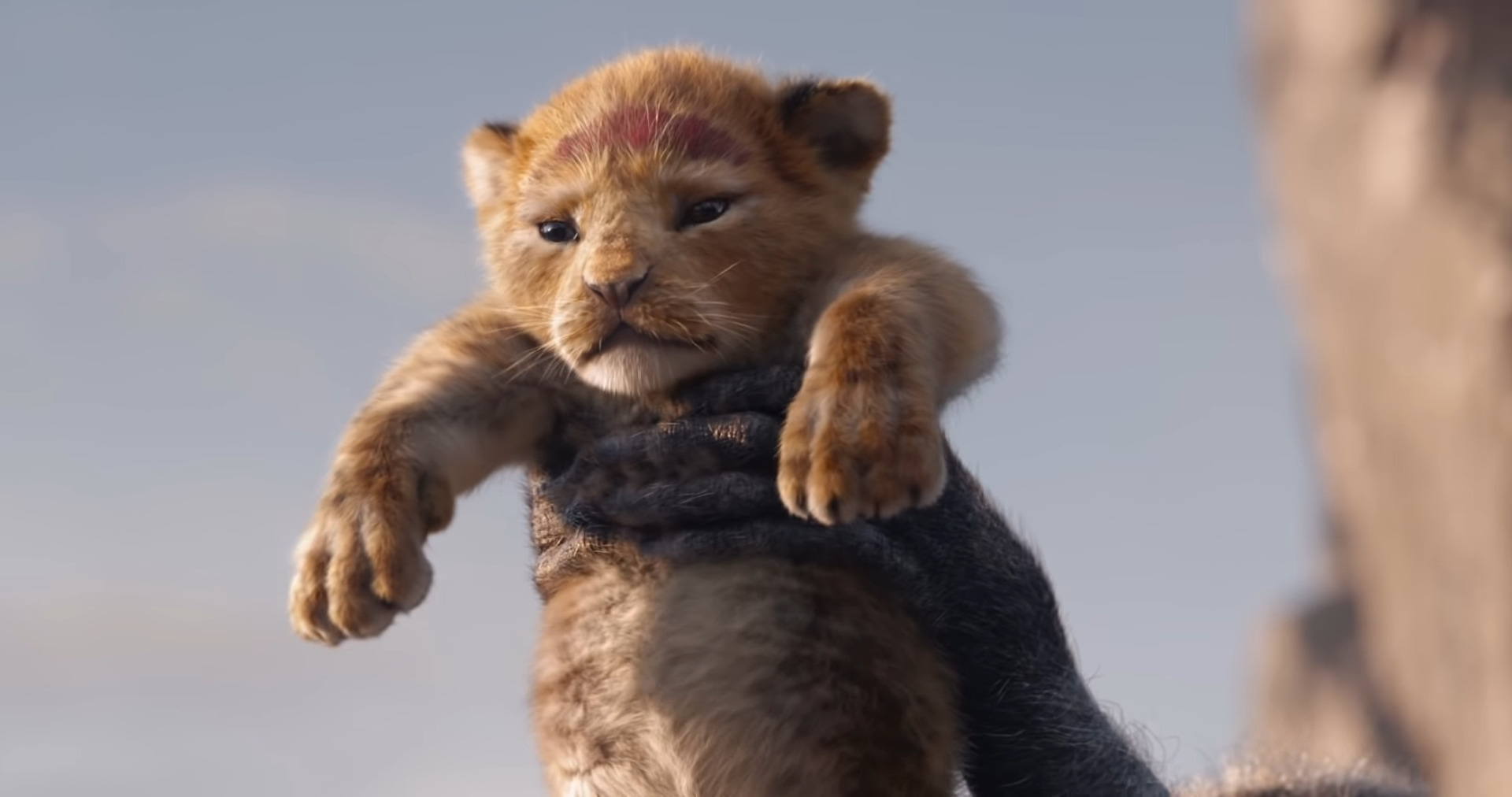 Le Roi Lion se dévoile dans une première bande-annonce - Numerama