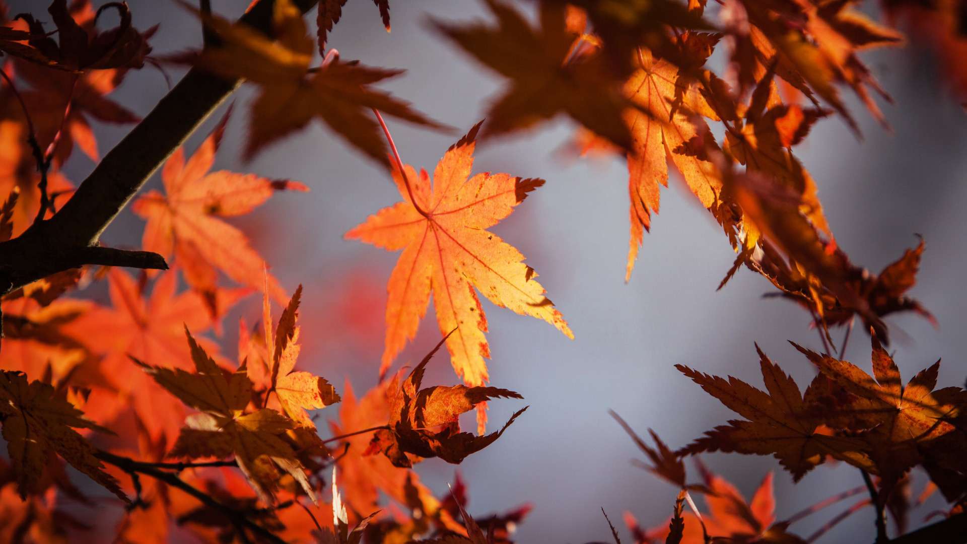 Pourquoi L Equinoxe D Automne Tombe T Il Le 22 Septembre Cette Annee En L