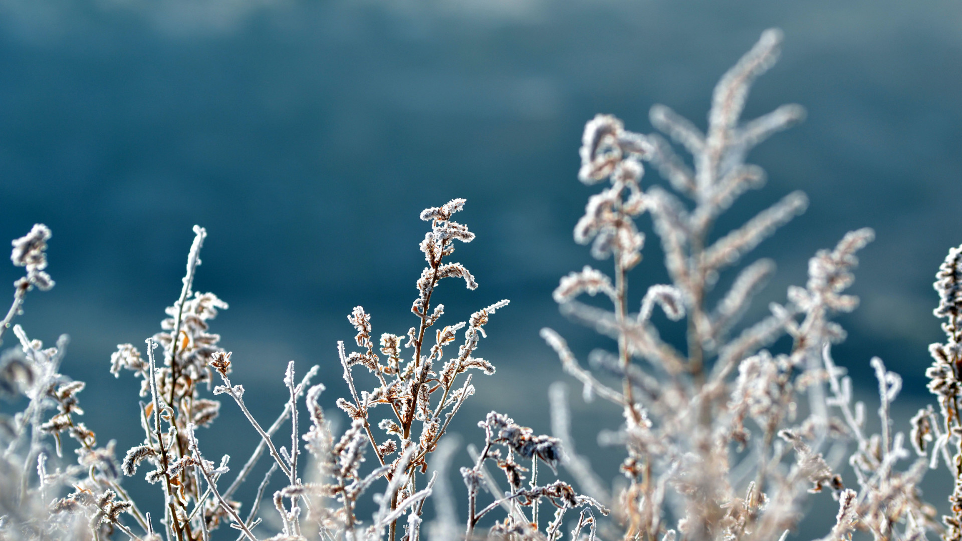 Pourquoi L Hiver Ne Tombe Pas Toujours Le 21 Decembre