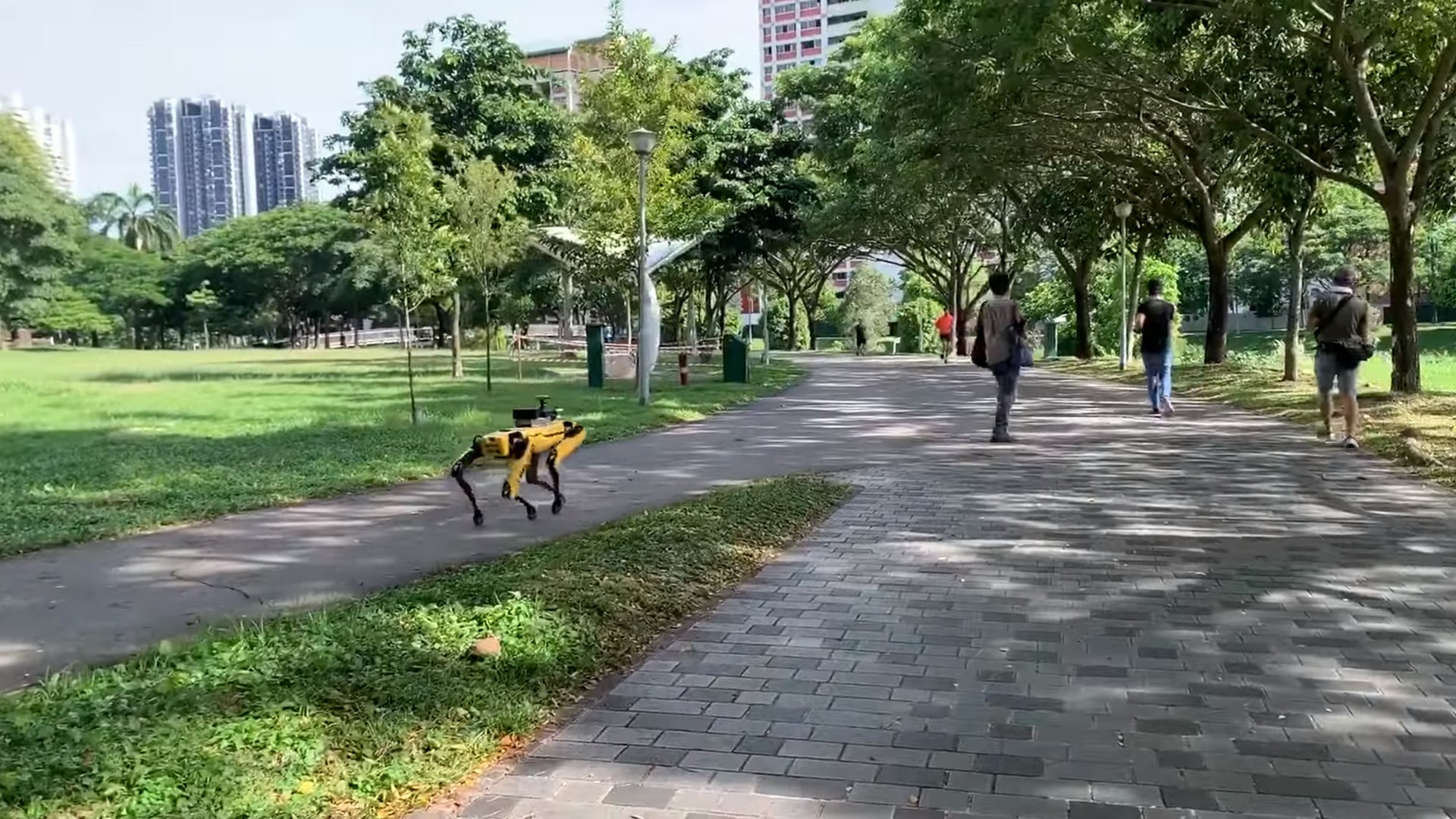 VIDEO. Coronavirus : un chien robot patrouille à Singapour pour faire  respecter la distanciation sociale