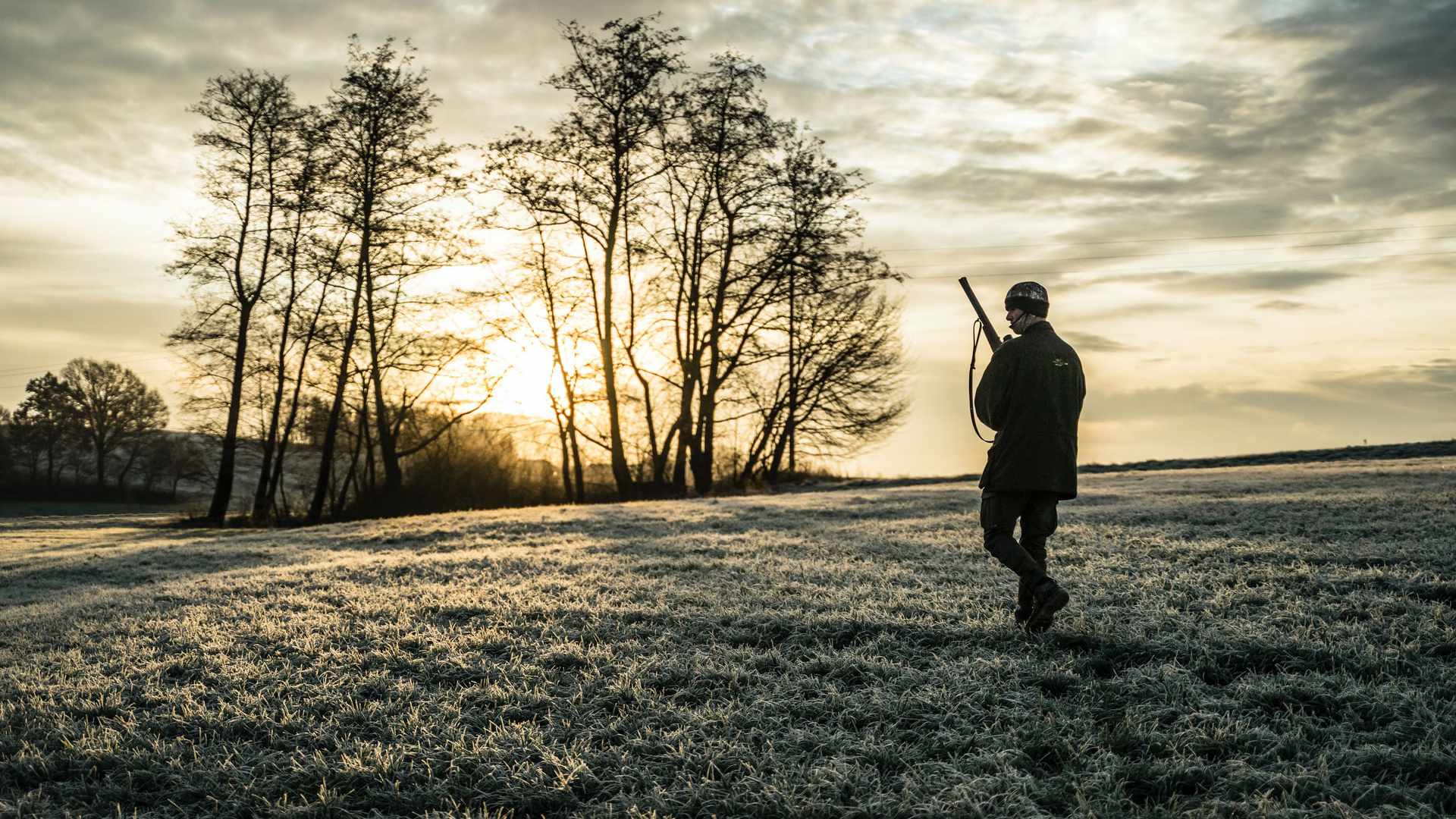 L app du gouvernement pour signaler les chasseurs ne marchera pas