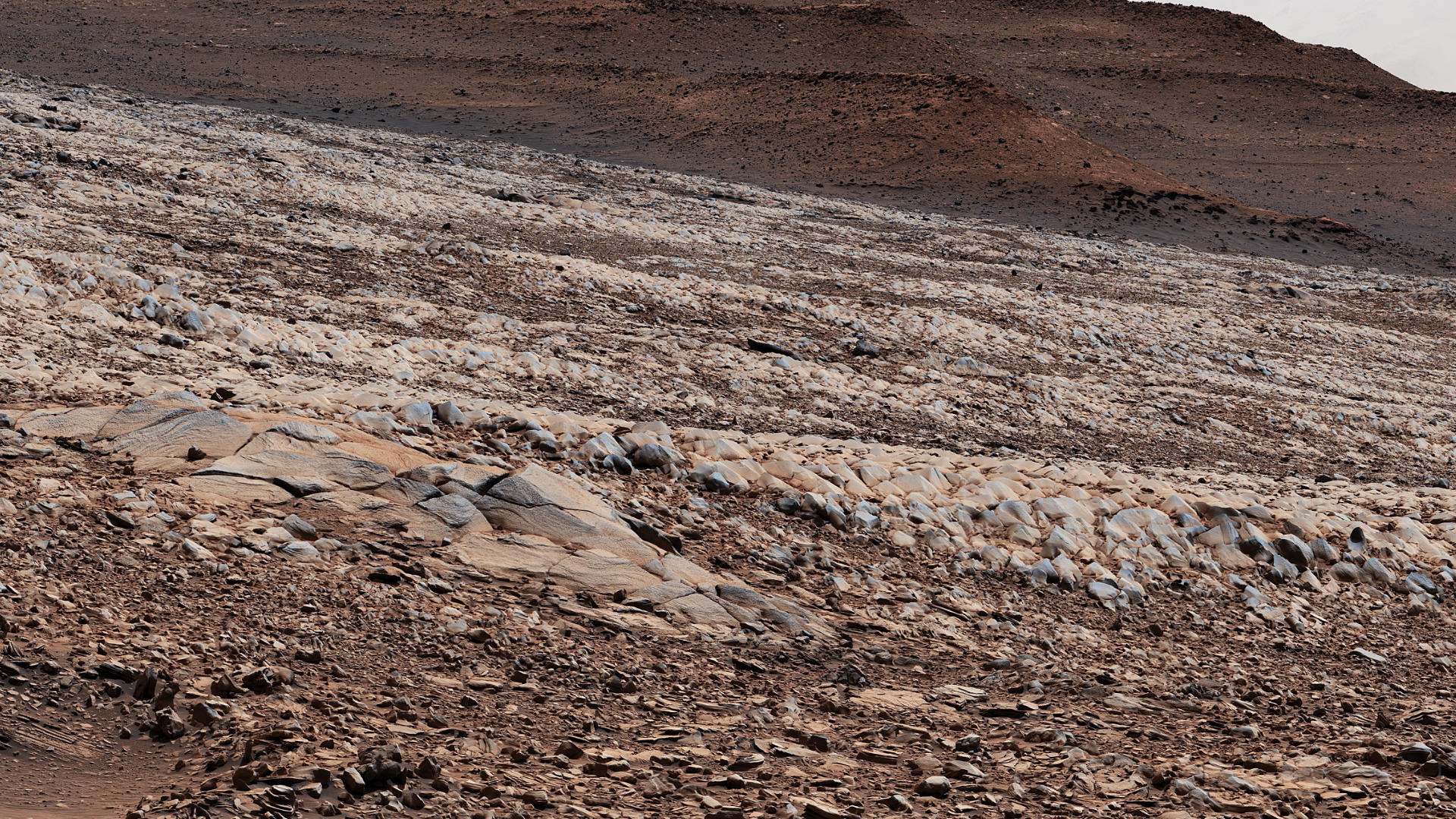 NASA Марс 2022