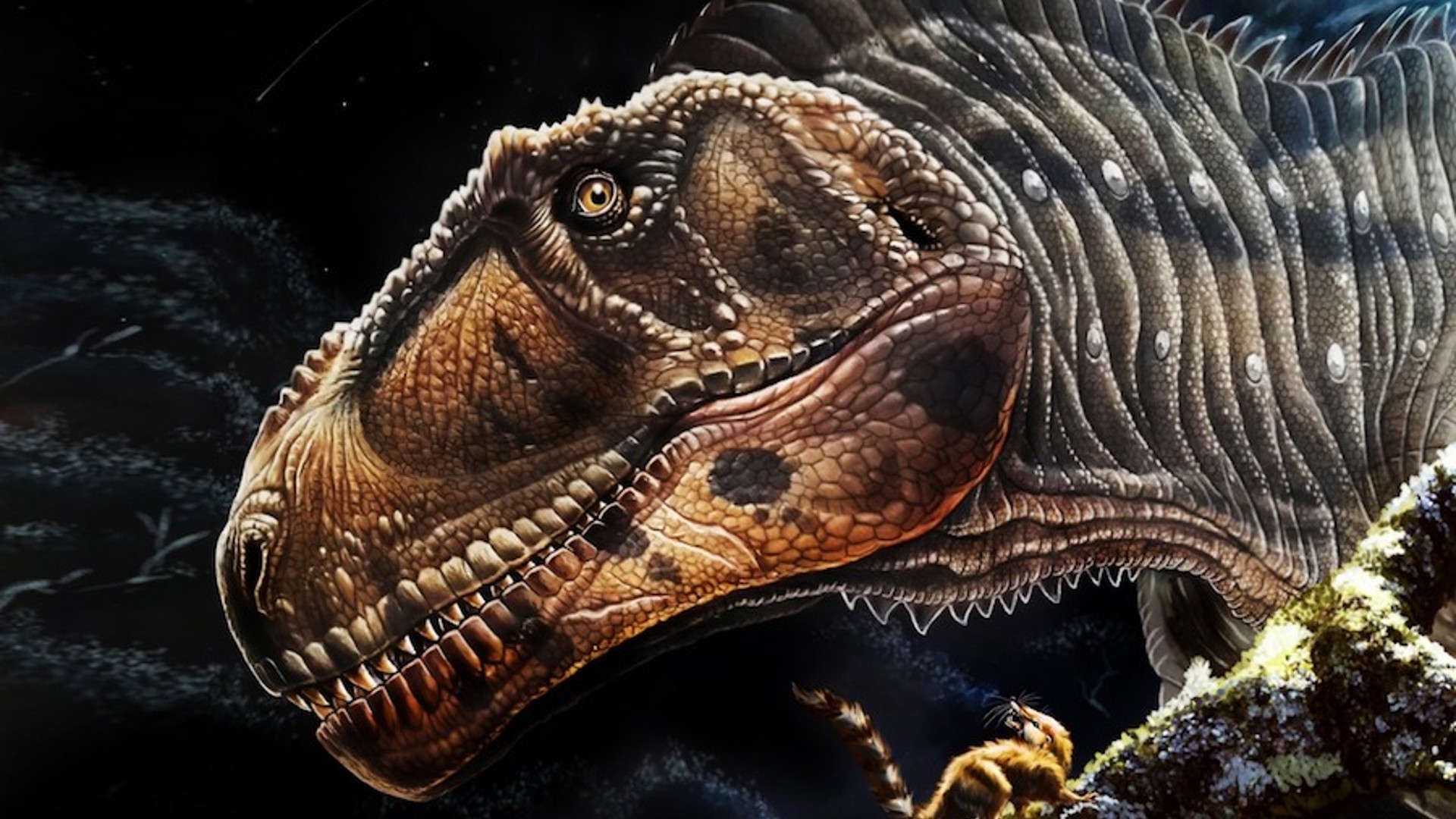 Tout savoir sur les dinosaures en 15 questions - Numerama