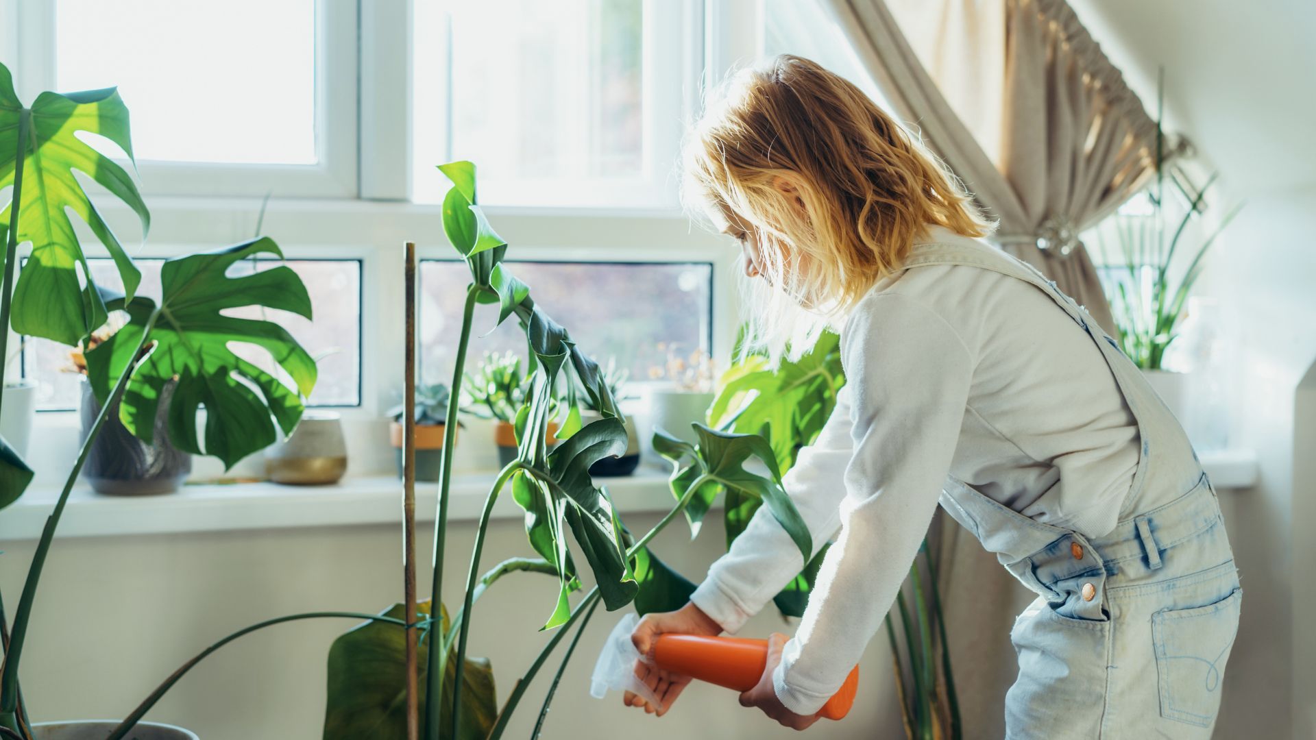 Comment choisir une plante artificielle pour l'intérieur ou pour l