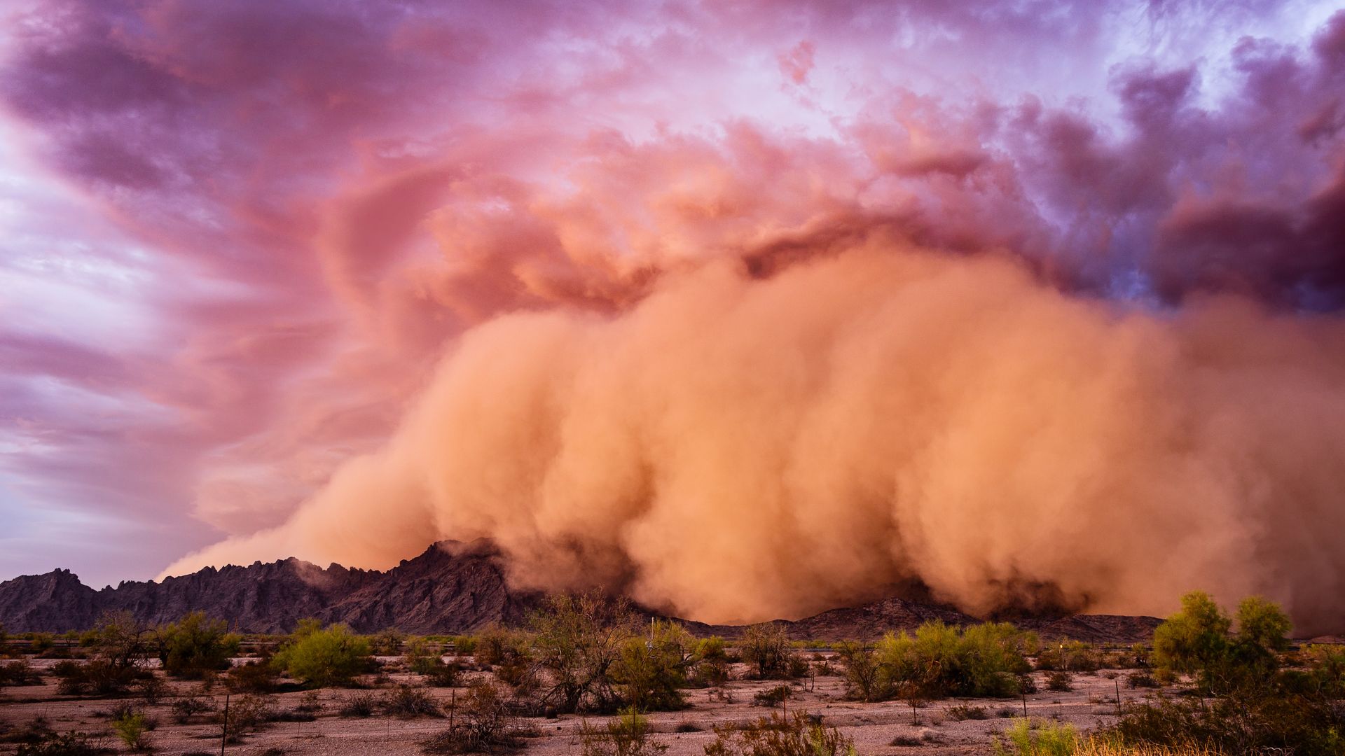 Ouvrir la Science - Comment naissent les tempêtes de sable ?