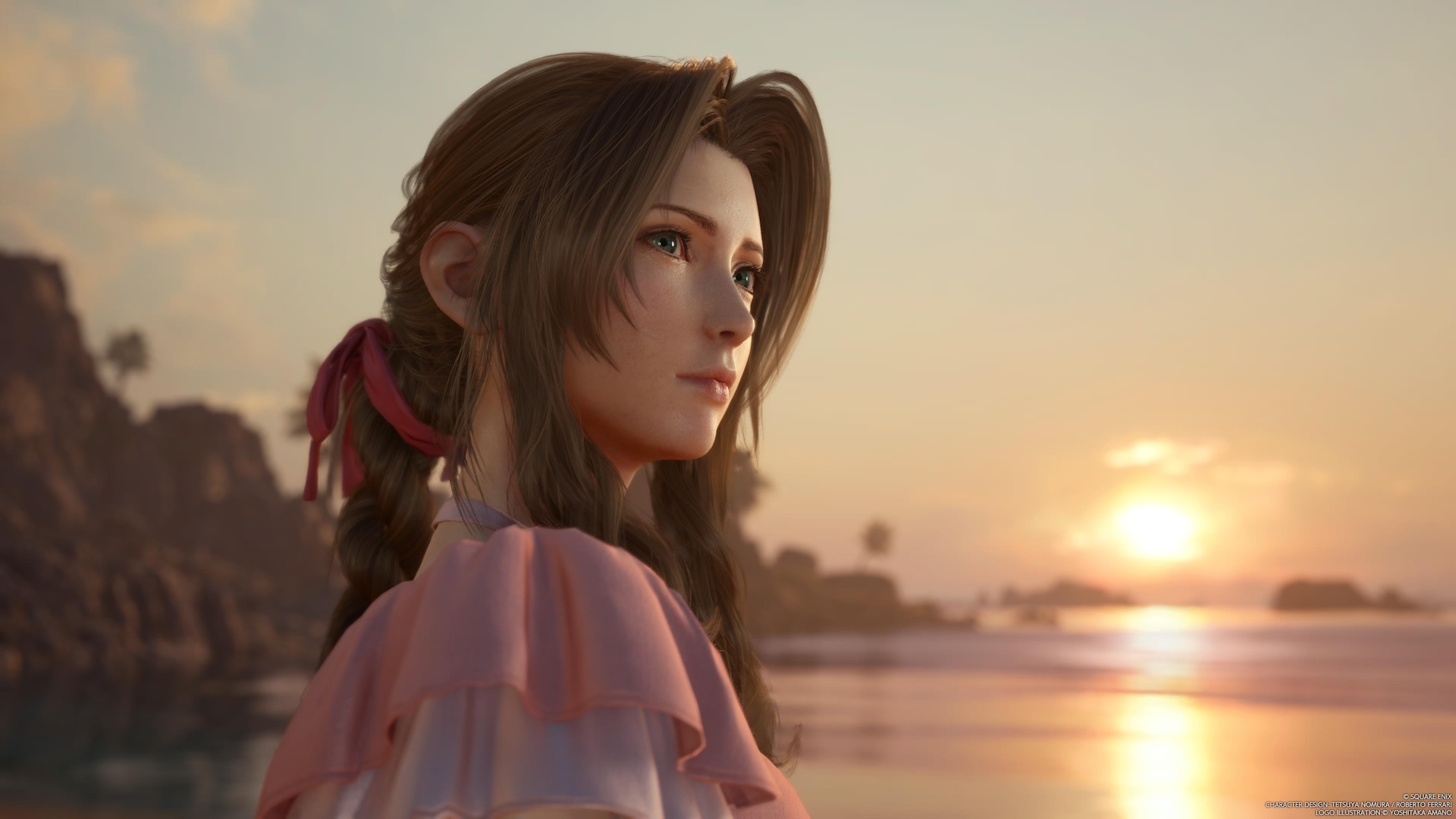 Vinnegal - aerith bunkr